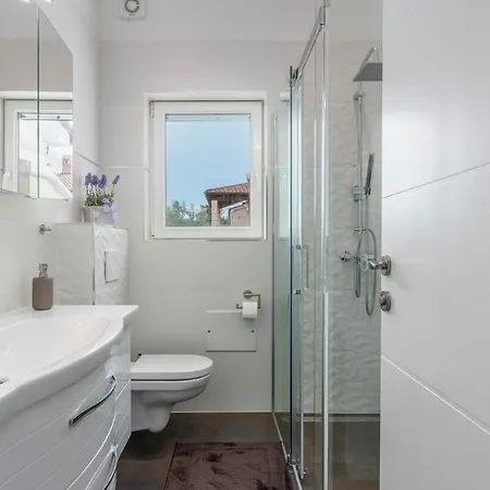 فيلة Delijamo بوريتش